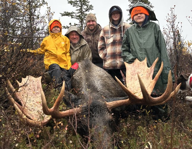Family Moose.JPG Family Moose.JPG