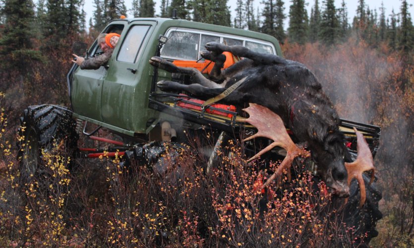 Alaska Buggy packing moose.JPG Alaska Buggy packing moose.JPG