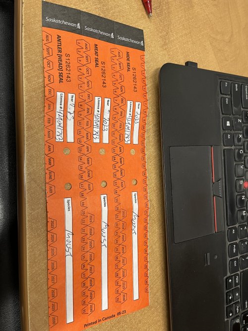 IMG_1367.jpeg IMG_1367.jpeg