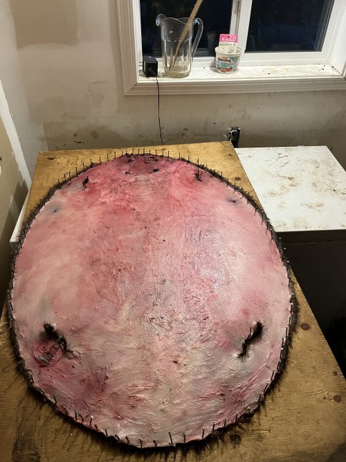 IMG_1371.jpeg IMG_1371.jpeg