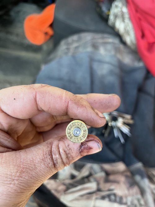 IMG_1394.jpeg IMG_1394.jpeg