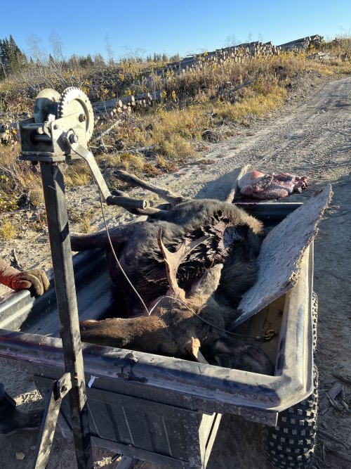 IMG_1393.jpeg IMG_1393.jpeg