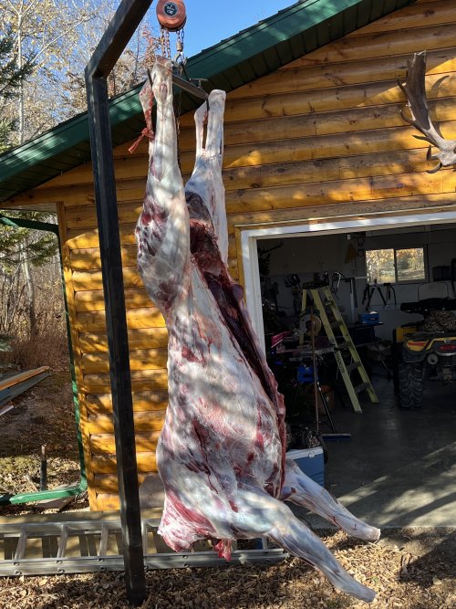 IMG_1396.jpeg IMG_1396.jpeg