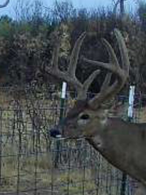 IMG_8142.jpeg IMG_8142.jpeg