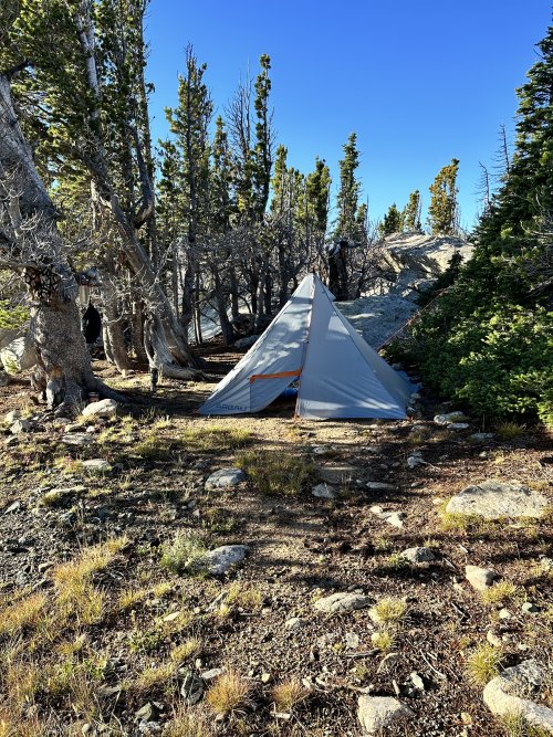 camp.jpeg camp.jpeg