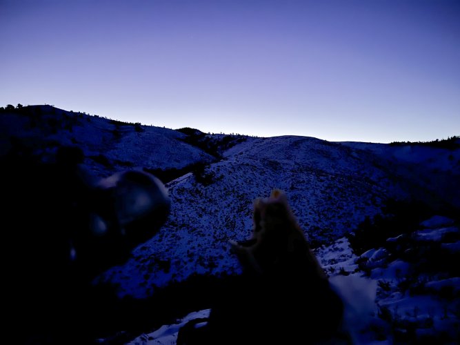 IMG-4317.JPG IMG-4317.JPG