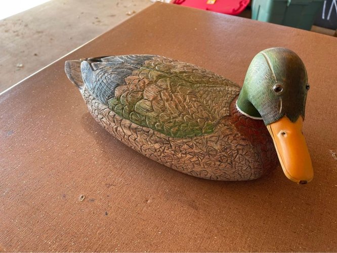 duck one.jpg