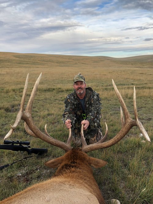 elk8.jpg elk8.jpg