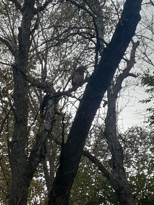 20231017_183411.jpg
