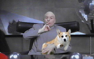 Cool Corgi with Dr Evil.jpg Cool Corgi with Dr Evil.jpg