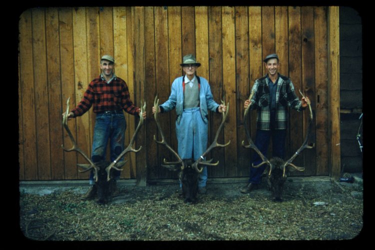 3_HUNTERS.jpg 3_HUNTERS.jpg