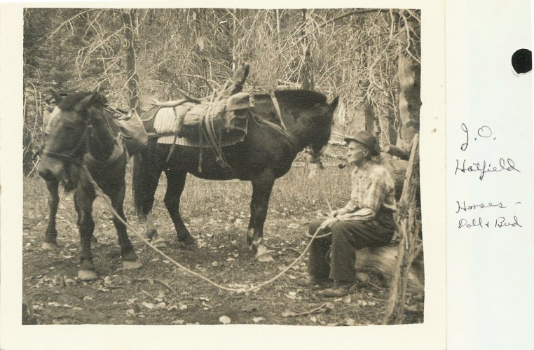 J. O. Hatfielld w horses.jpg J. O. Hatfielld w horses.jpg