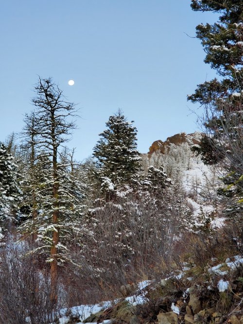 Moonset over the ridge.jpg