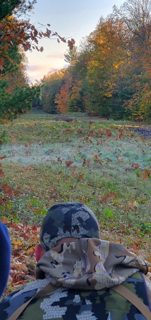 20231007_074534.jpg 20231007_074534.jpg