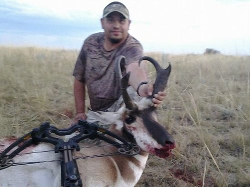 speed goat.jpg