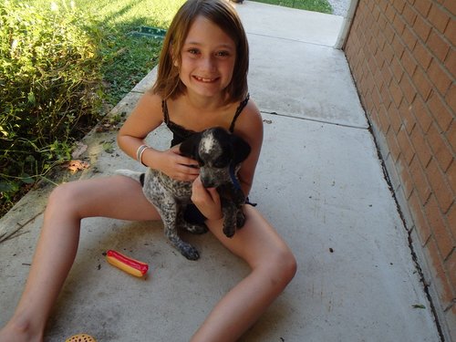 Gunner 9-6-14 002.JPG