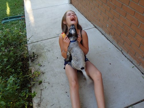 Gunner 9-6-14 001.JPG