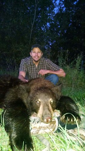 2014 Bear.jpg