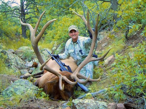 36 Bull.jpg 36 Bull.jpg