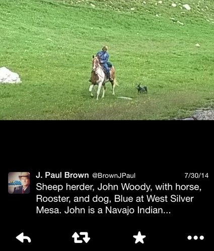 image.jpg