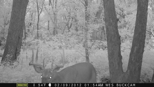 2014 trail cam 094.JPG