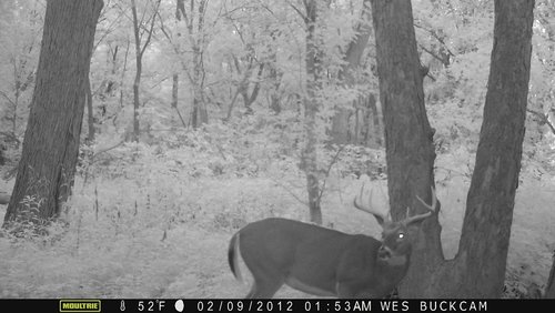 2014 trail cam 088.JPG