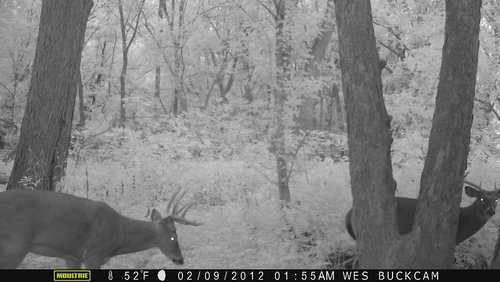 2014 trail cam 096.JPG