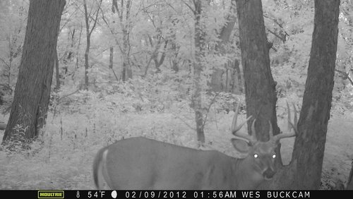 2014 trail cam 101.JPG