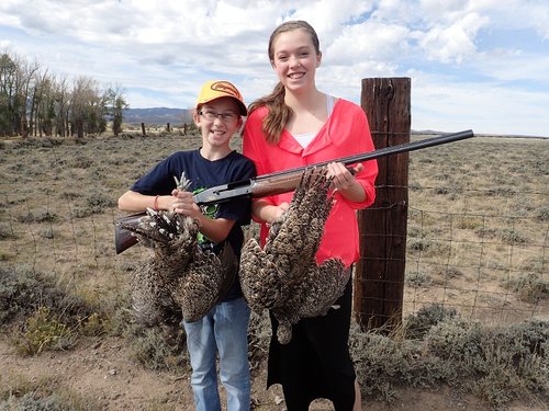 SageGrouse1.jpg SageGrouse1.jpg