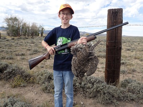 SageGrouse2.jpg SageGrouse2.jpg