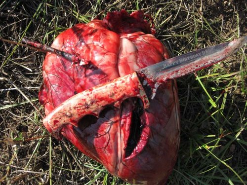 small2014 elk heart.jpg