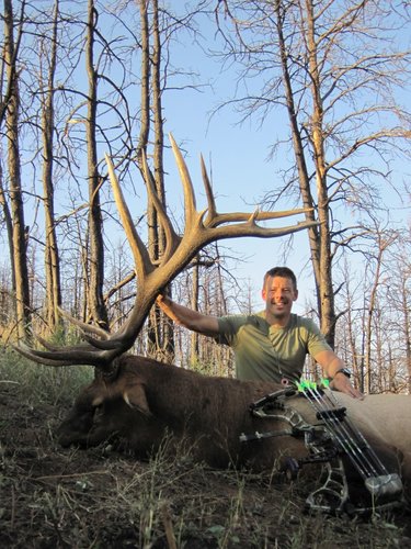 small2014 Elk1.jpg