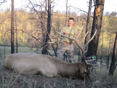 small2014 Elk2.jpg