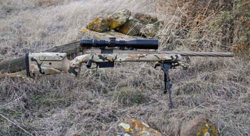 IMG_7730z.jpg IMG_7730z.jpg