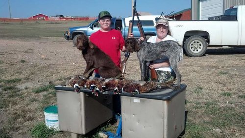 2014 birds.jpg