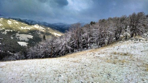 IMG_20141001_081939382_HDR.jpg IMG_20141001_081939382_HDR.jpg