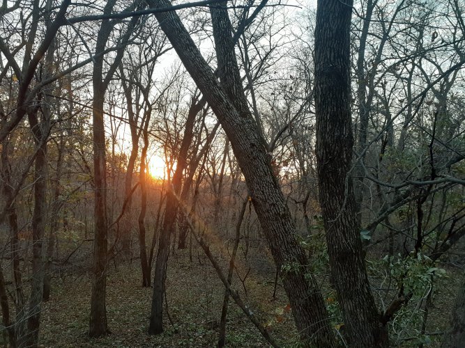 20231102_175400.jpg 20231102_175400.jpg