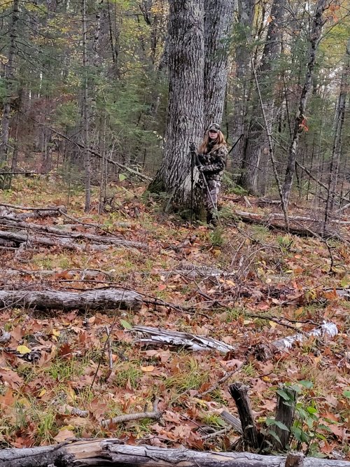 20231015_182342.jpg 20231015_182342.jpg