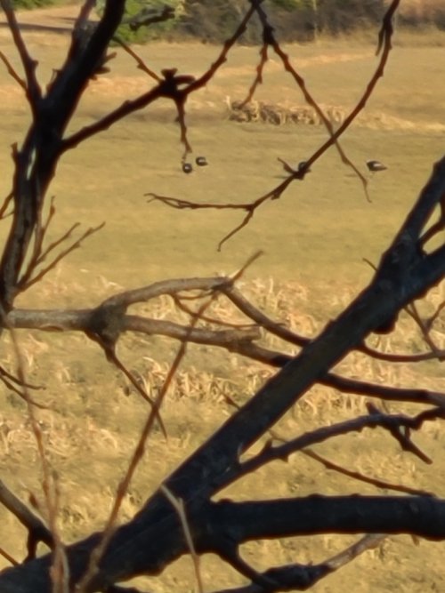 20231103_173010.jpg 20231103_173010.jpg