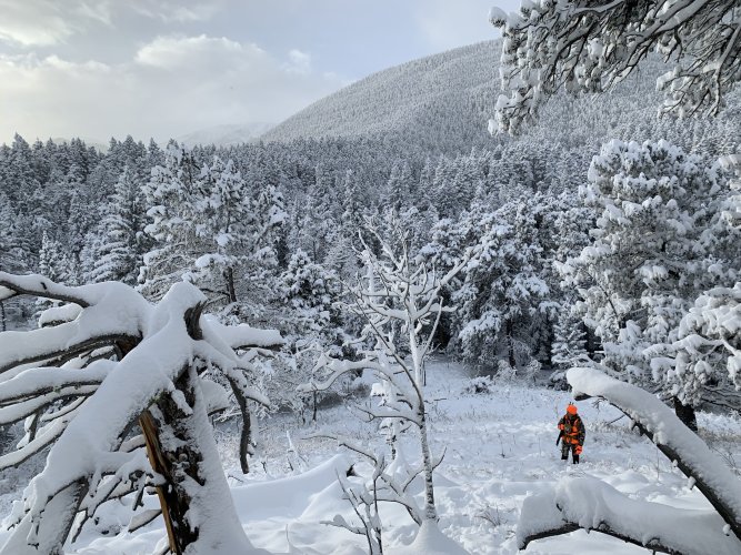 IMG_5056.jpeg IMG_5056.jpeg