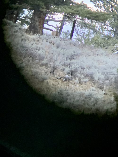 IMG_5198.jpeg IMG_5198.jpeg