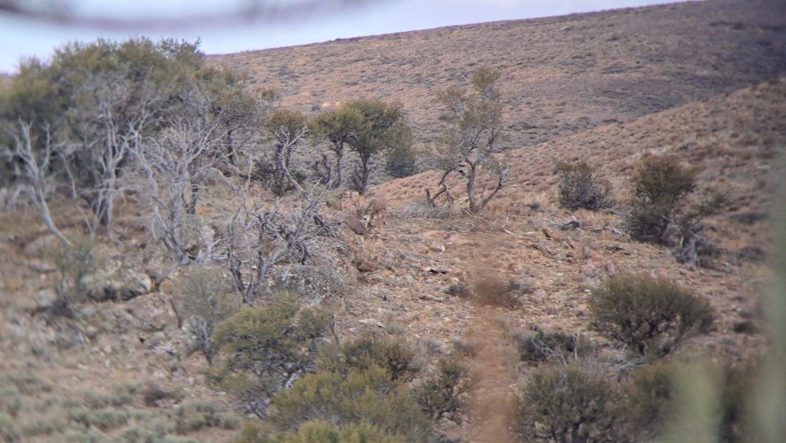 20231104_172732.jpg 20231104_172732.jpg