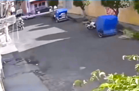Not_see_Coming-11_09_23-GIF-01-Cat_Motorcycle.gif_attachment_cache_bust=4543052 (1).gif