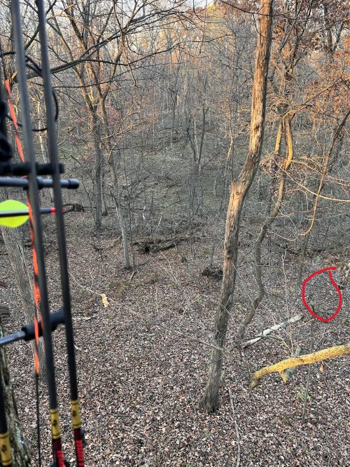 unnamed.jpg unnamed.jpg