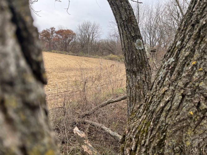 IMG-4744.jpg IMG-4744.jpg