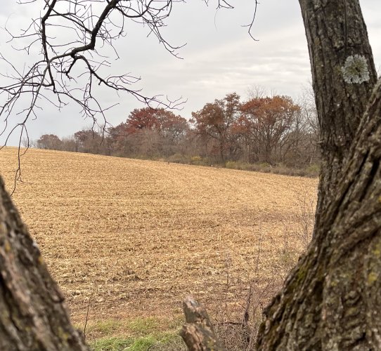 IMG-4749.jpg IMG-4749.jpg