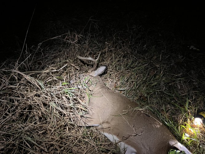 IMG-4754.jpg IMG-4754.jpg