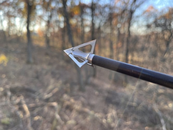 IMG-4767.jpg IMG-4767.jpg