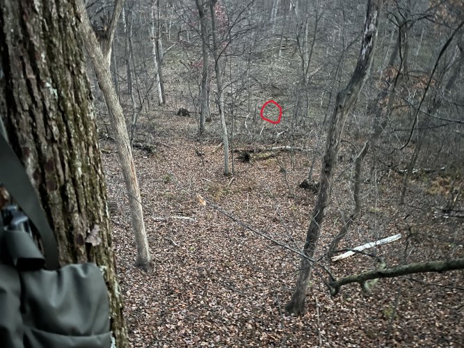 IMG-4706.jpg IMG-4706.jpg