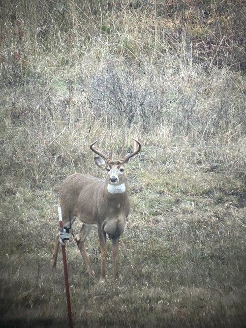 IMG_0497.jpg IMG_0497.jpg